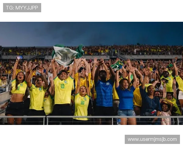 2026美加墨世界杯图片欣赏：球迷狂欢与赛场激情的高清图片集