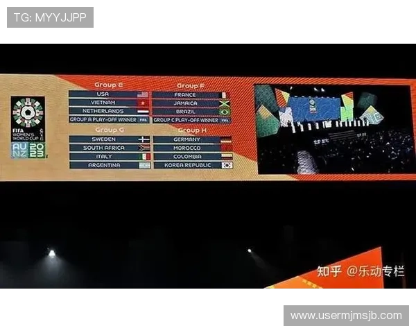 世界杯预选赛每组几个名额详细解析不同地区的名额分配情况及影响因素