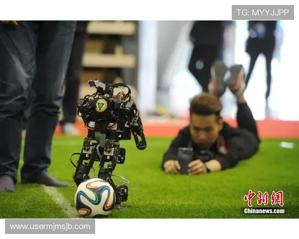 2026年世界杯何时举行，在哪些城市举办，足球迷必知的赛事时间表