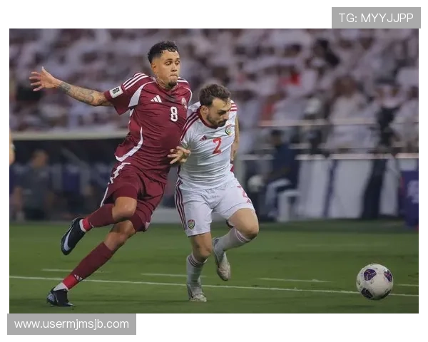 进入2026世界杯的国家有哪些详细介绍及最新参赛资格分析