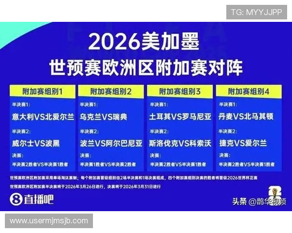 2026年世界杯举办国家申办过程中的关键因素及最终结果全景解读