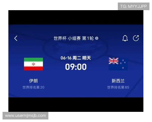 世界杯伊朗新西兰比赛现场天气预报及应对策略，助力球迷提前做好准备