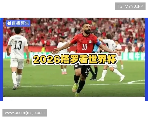 伊朗与埃及比赛节奏对比：影响比赛走势的关键因素全面解析